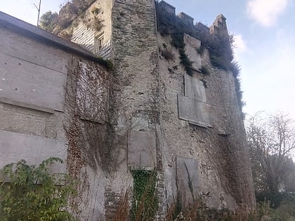 Saint David's Castle
