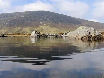 park narodowy wicklow mountains