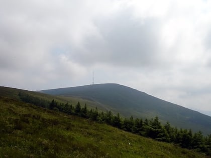 Mount Leinster