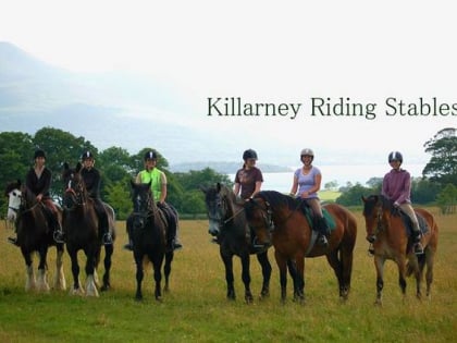 killarney riding stables