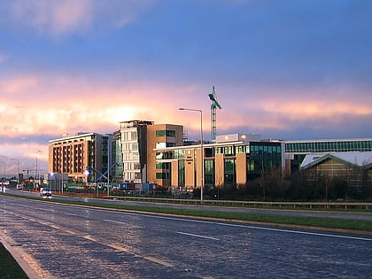 sandyford