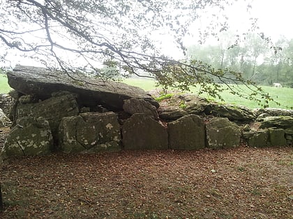 labbacallee wedge tomb fermoy