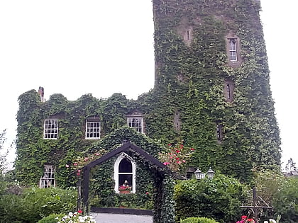 cloonacauneen castle claregalway