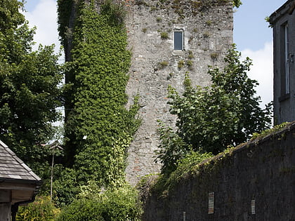 Kildare Castle