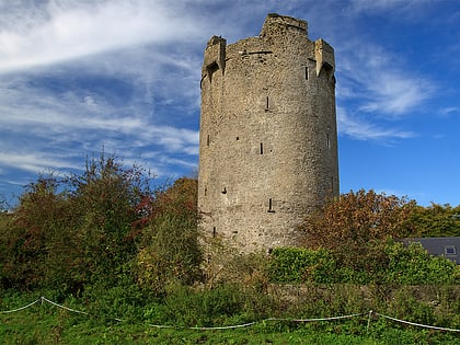 Ballynahow Castle