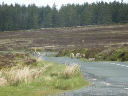 wicklow