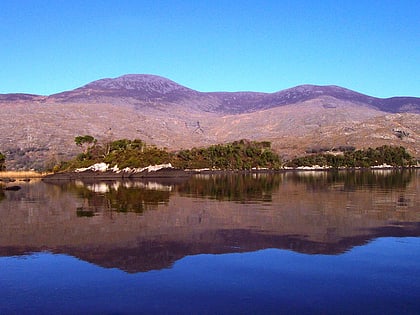purple mountain killarney nationalpark