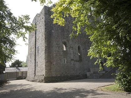 maynooth castle