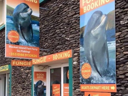 Dingle Dolphin tours/fungie The Dingle Dolphin
