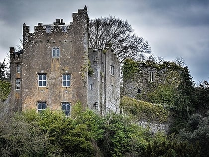 ardfinnan castle