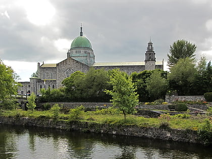 katedra wniebowziecia najswietszej maryi panny i sw mikolaja galway