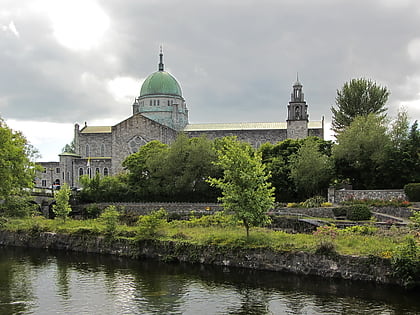 cathedral of our lady assumed into heaven and st nicholas galway