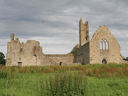 kilmallock abbey