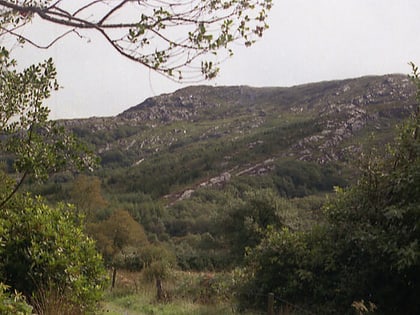 nowen hill