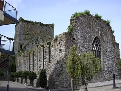 st dominics abbey cashel