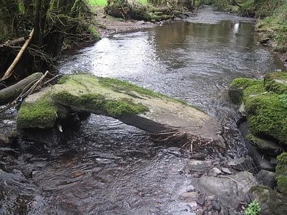 aghavrin clapper bridge