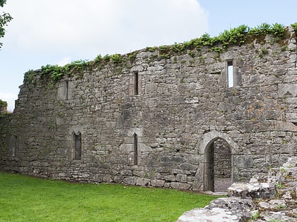 castlelyons friary