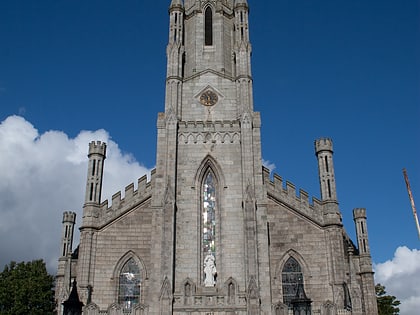 catedral de la asuncion carlow