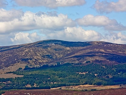 carrigvore wicklow mountains nationalpark