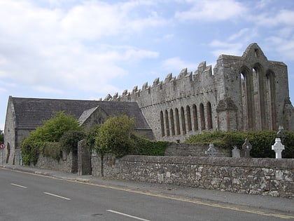 Cathédrale Saint-Brendan d'Ardfert