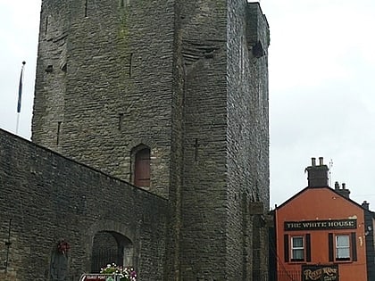 Roscrea Castle