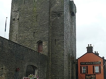 roscrea castle