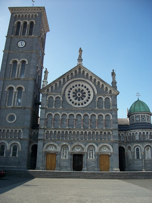 cathedral of the assumption thurles