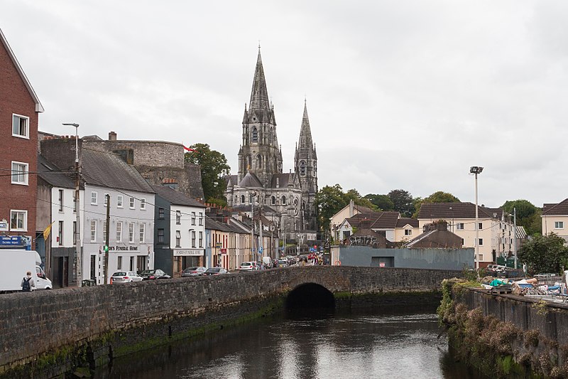 Cathédrale Saint-Finbarr de Cork