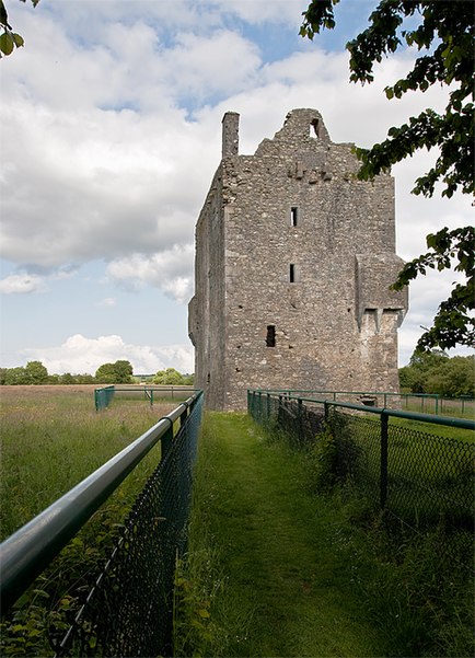 Ballymalis Castle