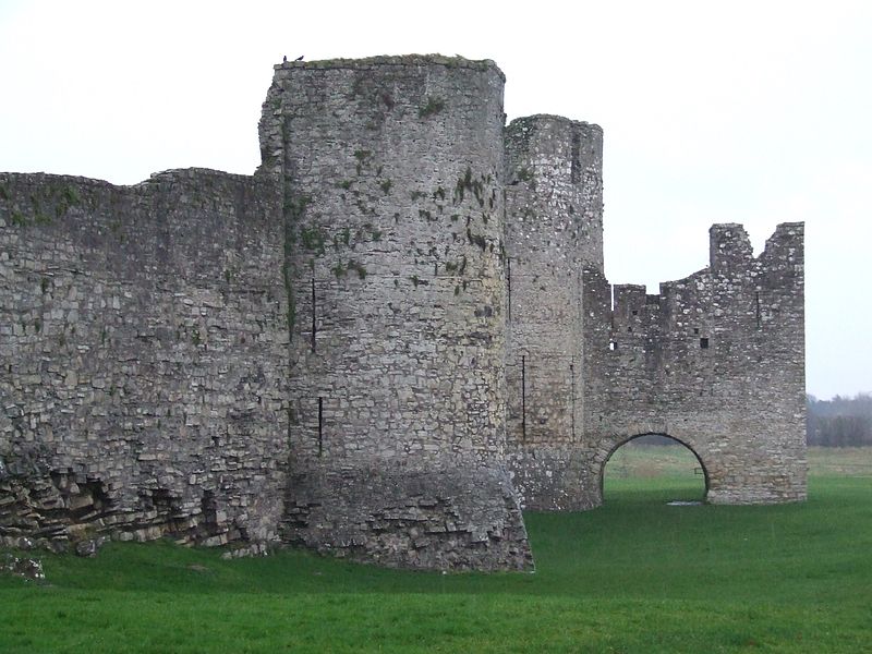 Château de Trim, Trim