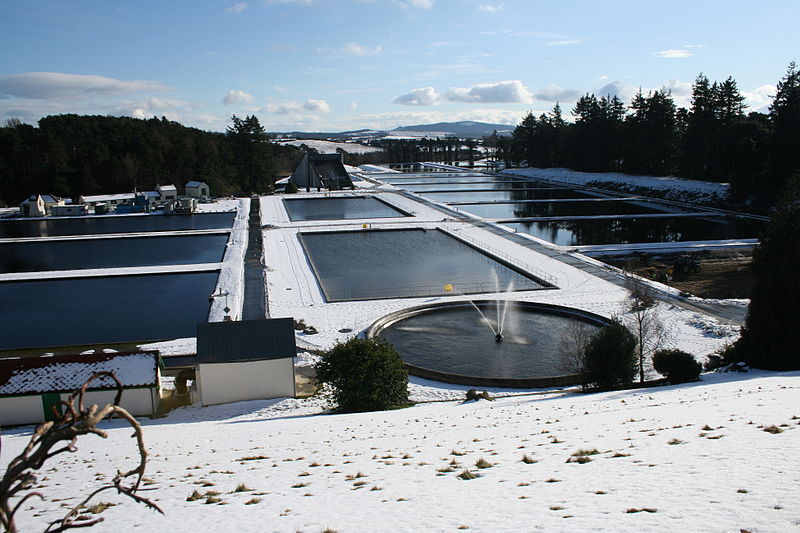 Vartry Reservoir