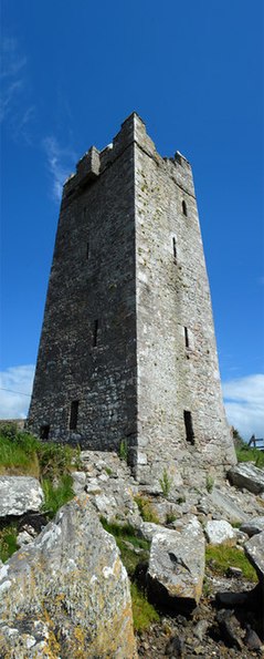 Carrickkildavnet Castle