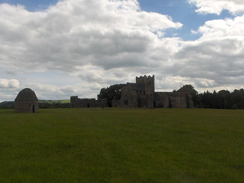 Kilcooly Abbey