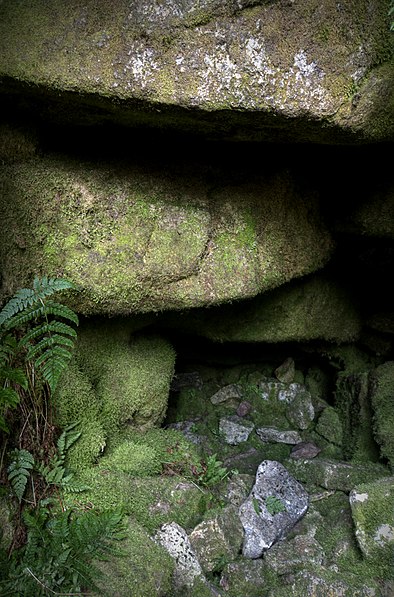 Passage Tomb von Seefin