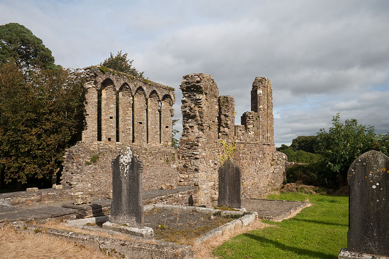 Ferns Cathedral
