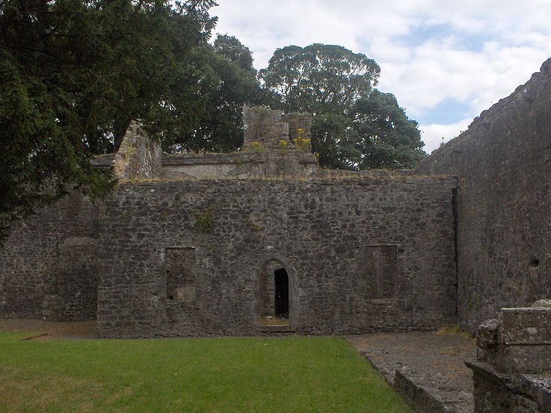 Kilcooly Abbey