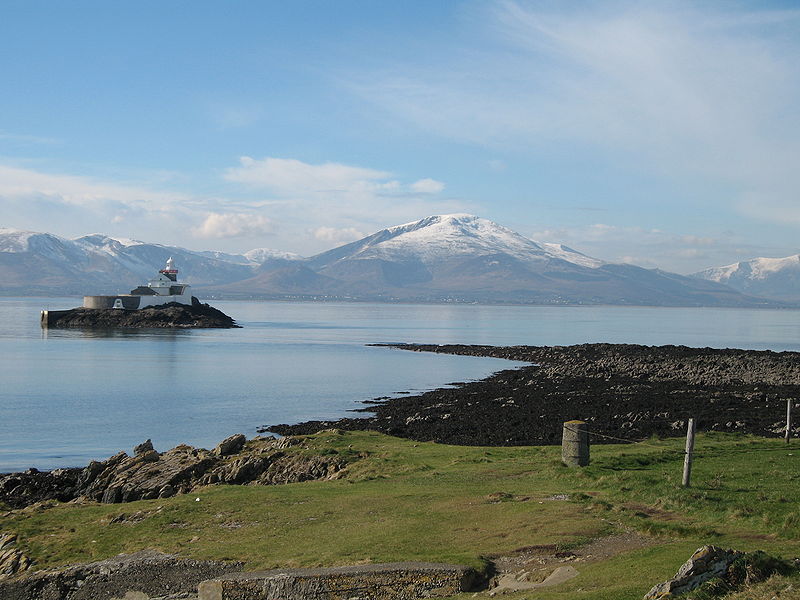 Fenit