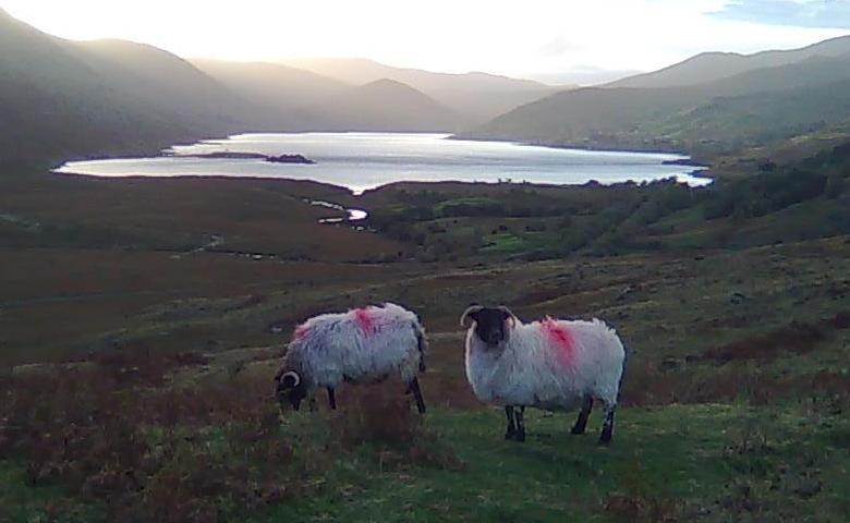 Loch Na Fooey