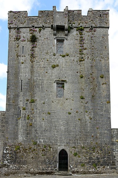 Dunguaire Castle