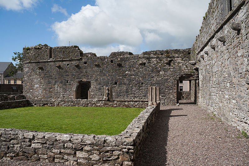 Castlelyons Friary