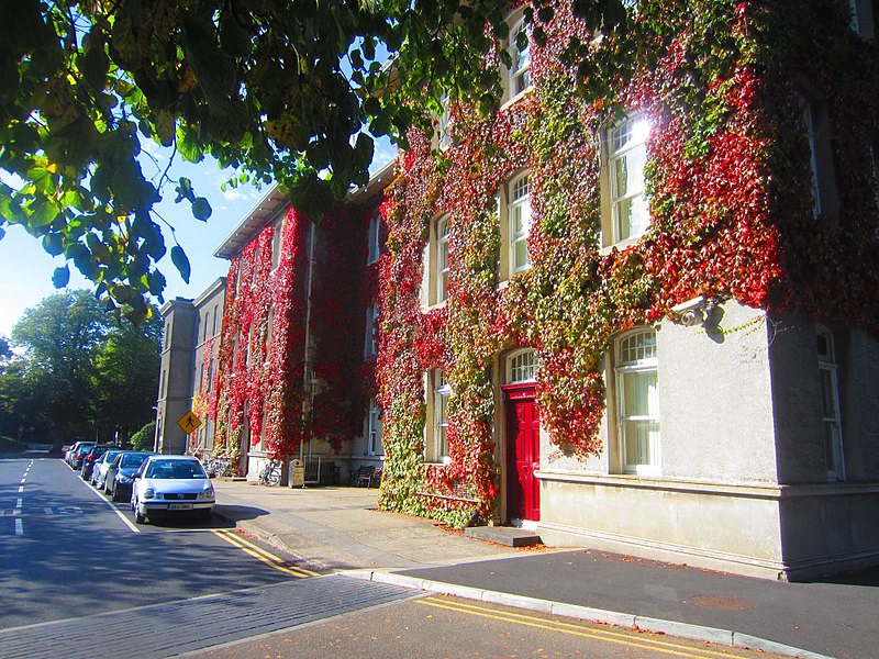 Universidad Nacional de Irlanda, Galway
