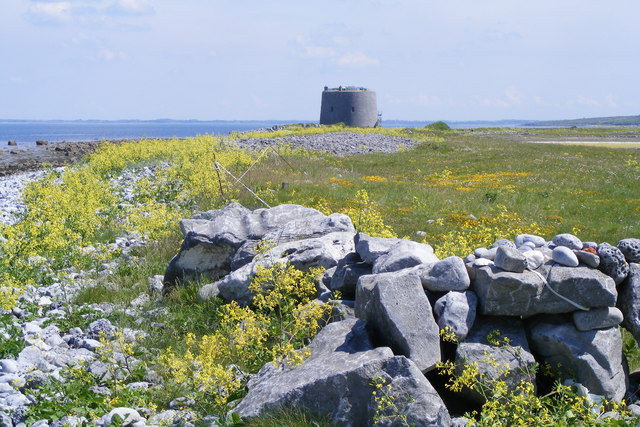 Aughinish Tower