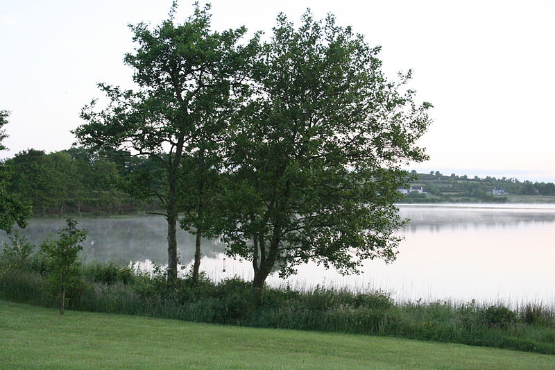 Lough Gowna