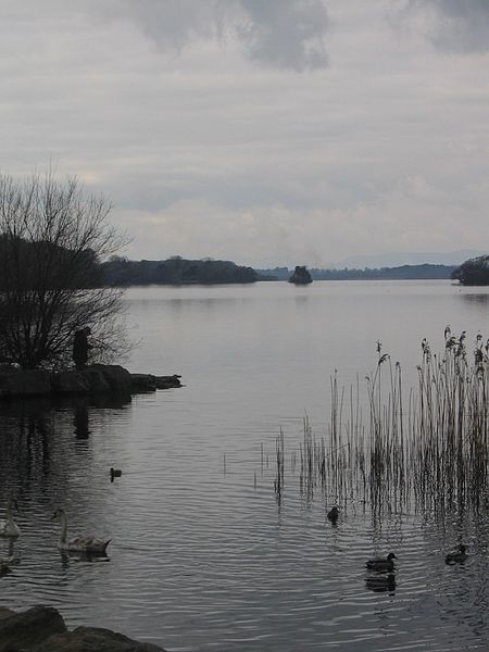 Innisfallen Island