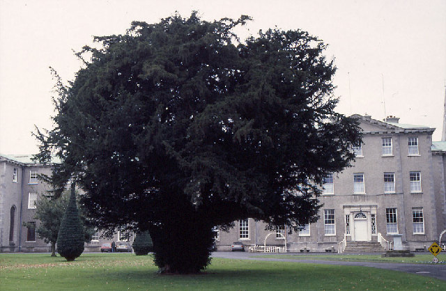 St Patrick's College