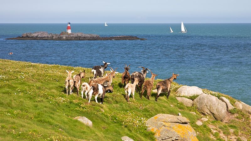 Dalkey Island