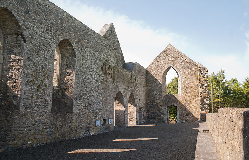 Abbey of Aghaboe