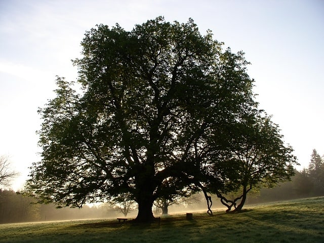 Kingscourt, Ireland