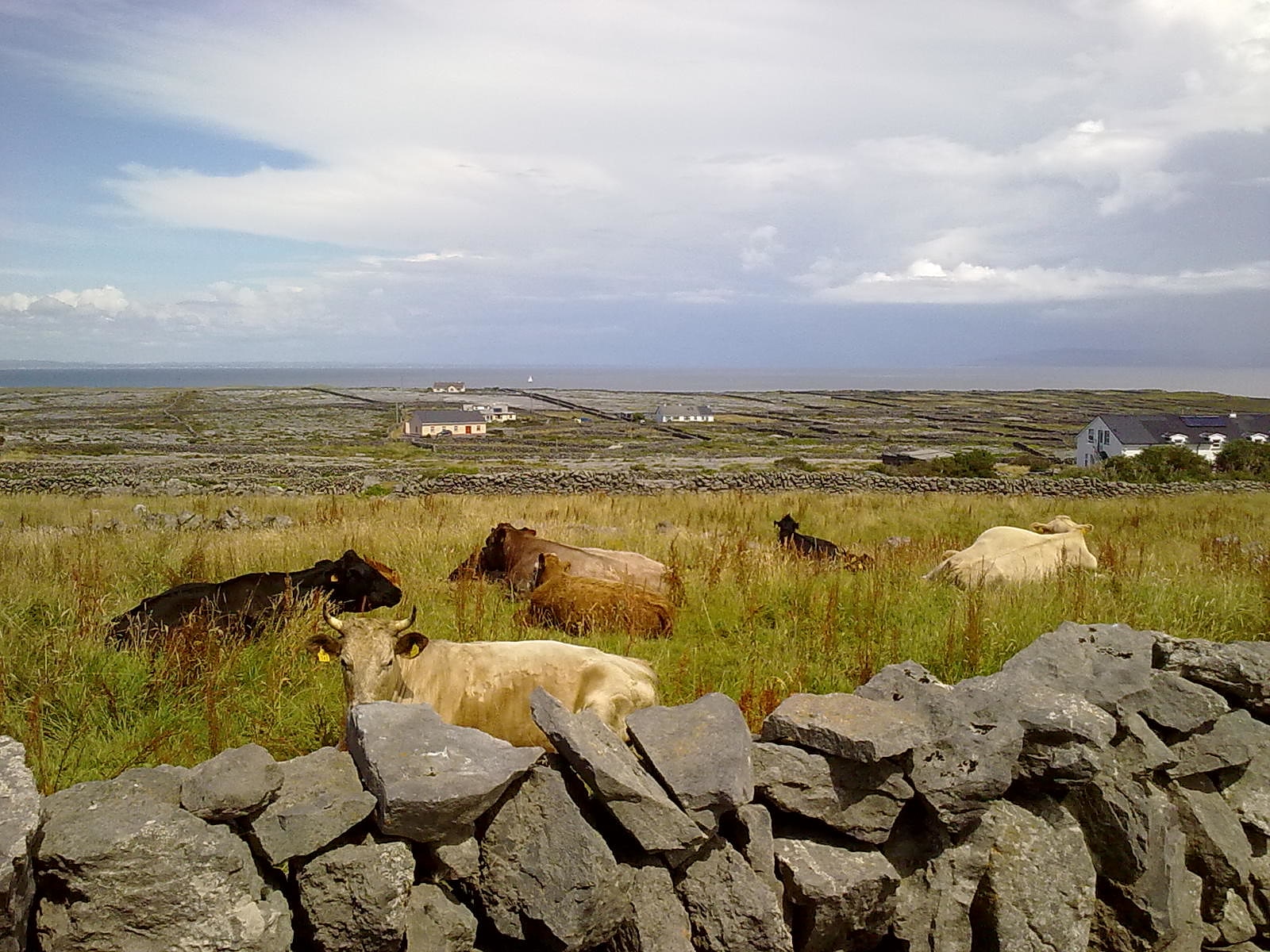 Inis Meáin, Irland