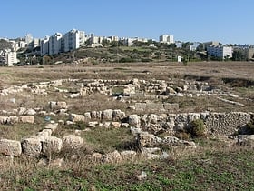 Tel Shiqmonah